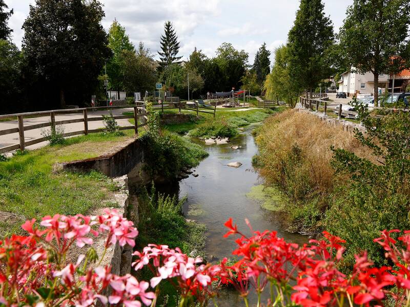 Ein idyllischer Bach fließt durch eine grüne Landschaft mit roten Blumen im Vordergrund und einem Weg entlang des Wassers.