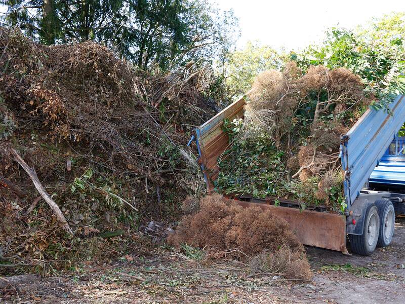 Ein blauer Lastwagen mit Anhänger kippt eine Ladung Gartenabfälle auf einen großen Haufen am Waldrand ab.