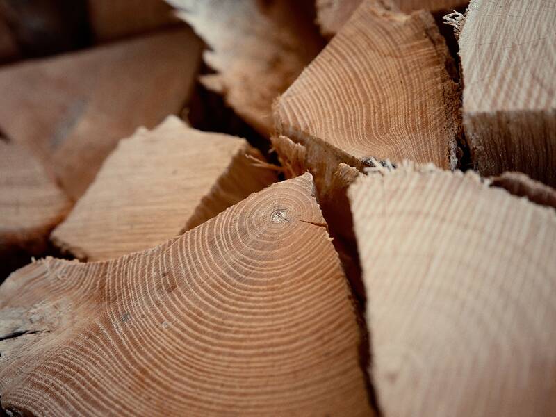 Ein Stapel aus geschnittenen Holzscheiten mit sichtbaren Jahresringen.
